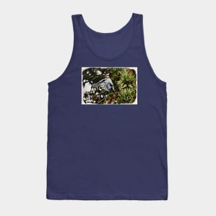 Jay Tank Top